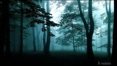 S1 : Que perd Scott dans les bois ?