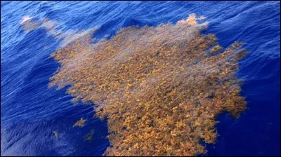 Quelle mer n'a pas de rivages ?