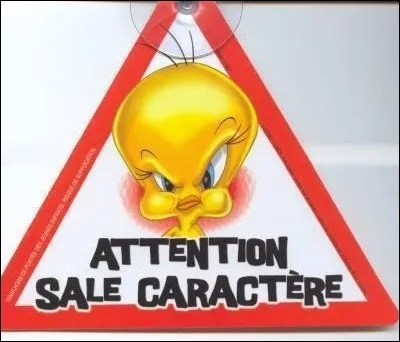 Si tu devais te décrire en un mot, ce serait...