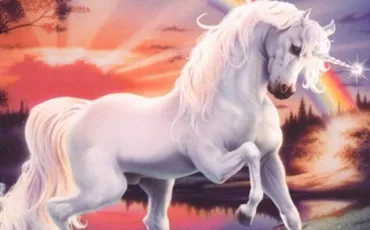 Quiz Animaux