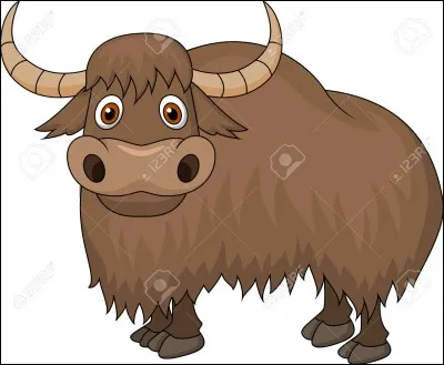Où vivent les yaks/yacks ?