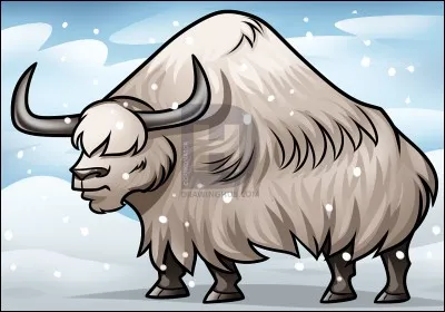 Qu'est-ce qu'un yacht ?