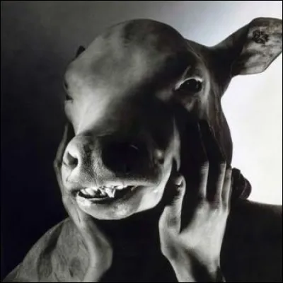 Quel Dieu se transforma en buf pour échapper au terrible Typhon ?