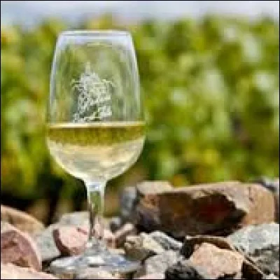 Quel vin blanc, issu du cépage melon de Bourgogne, provient presque exclusivement de Loire-Atlantique ?