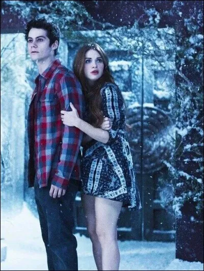 Dans quelle série peut-on voir ce couple ?