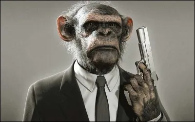 Attention, il va tirer !