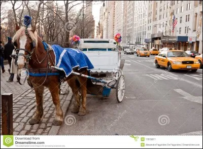 Quelle onomatopée les charretiers se servent-ils pour faire aller le cheval à droite ?