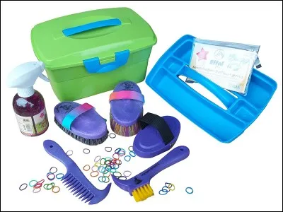 Quel est l'instrument de pansage manquant ?