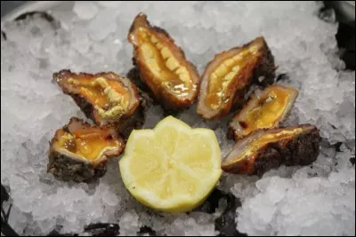 Qu'appelle-t-on "figue de mer" ?