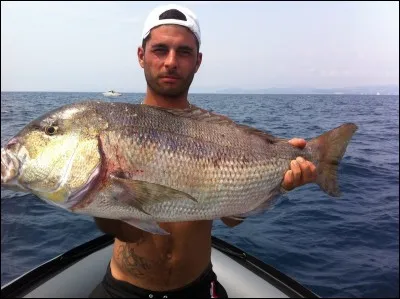 Quel est ce poisson ?