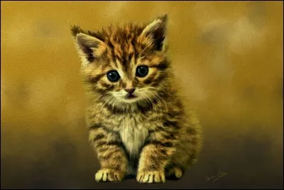 Dans son recueil "Les Fleurs du Mal", de 100 poèmes, il en est un qui s'intitule "Le Chat" !