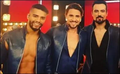 Combien de comédies musicales Brahim Zaibat a-t-il faites ?