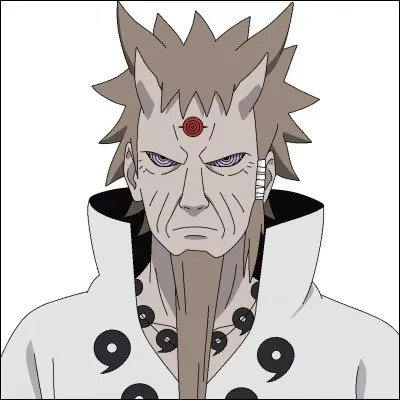 Qu'est-ce qui fait parti d'un kekkei môra ?