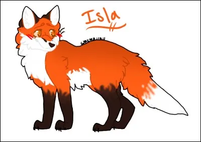 Combien de couvertures le livre possède-t-il ?