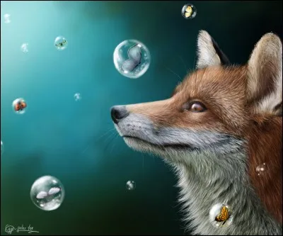 Qu'est-ce que le "maa" ?