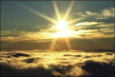 Quelle est la dernière réplique dans le livre ?