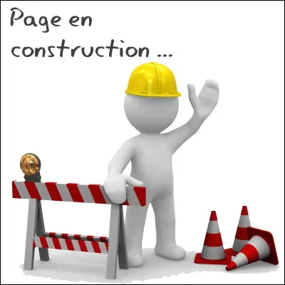 Que construis-tu en premier ?