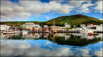 Quelle est cette petite ville du nord, située à moins de 60 km du cercle polaire, port de pêche dans une baie connue pour l'observation des baleines ?