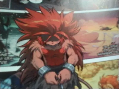 De quelle couleur sont les yeux de Gryfenfer quand il a la Chakouina ?