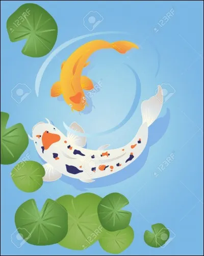 Ces carpes vivent...