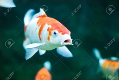 Jusqu'à quel âge certains individus ont-ils vécu ?