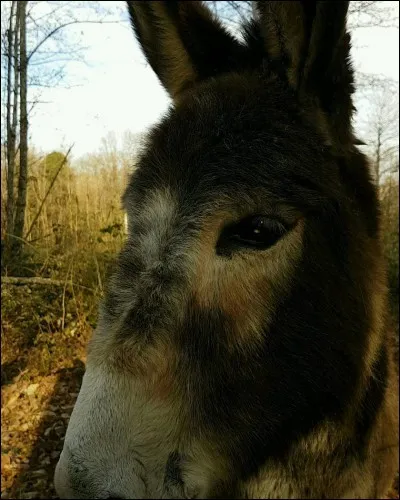 C'est le cas de quelques priviégiés gâtés par la nature, les dames leur disent souvent : Tu es ...