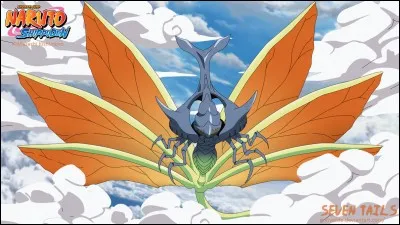 Quel est le prénom de Nanabi ?