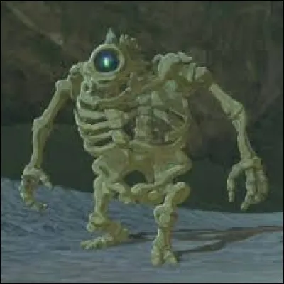 Comment s'appelle le squelette géant ?