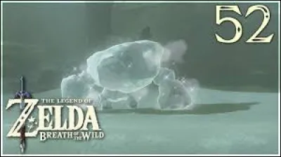 Comment s'appelle un Lithorok de glace ?