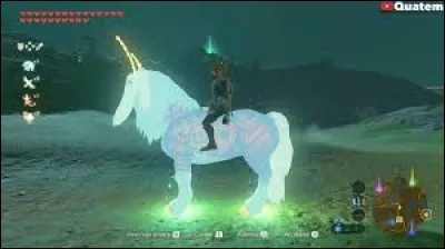 Quel est le nom anglais de l'Alpha ?