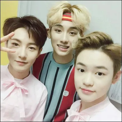 Lesquels forment le trio chinois des NCT ?