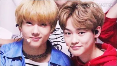 Qui est le couple le plus récent des NCT Dream ?