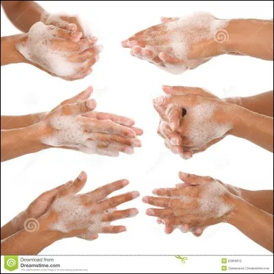 Trouvez la phrase qui est correctement orthographiée.