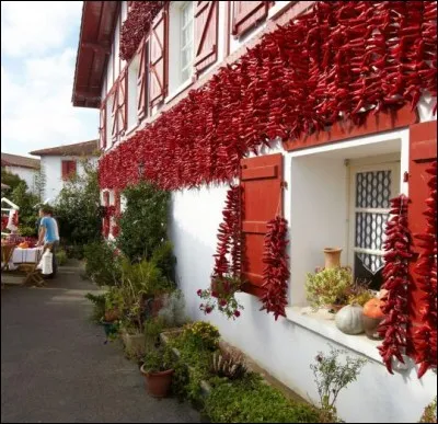 Le piment a fait ma renommée. Demandez-en à mes habitants, les Ezpeletars. Où habitent-ils ?