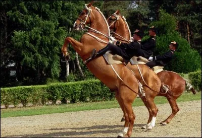 Connue pour mon mon château, mes vins et "Le Cadre noir", je m'appelle...