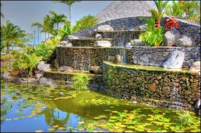 Capitale administrative de la Polynésie française, située sur l'île de Tahiti, je compte environ 25 000 habitants. Venez vous détendre dans mon parc paysager à dominance végétale, les Jardins de Paofai, à...
