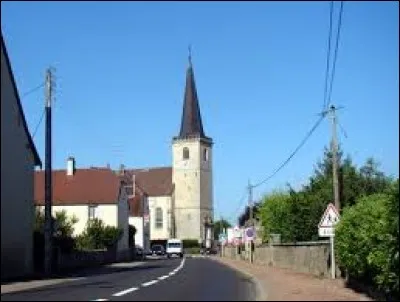 Nous partons pour finir faire un tour en Bourgogne-Franche-Comté, à Villevieux. Commune de la Bresse jurassienne,elle se situe dans le département ...