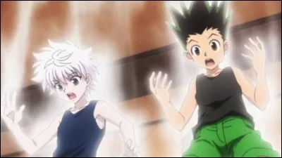 Quel est le principe avancé du Zetsu ?