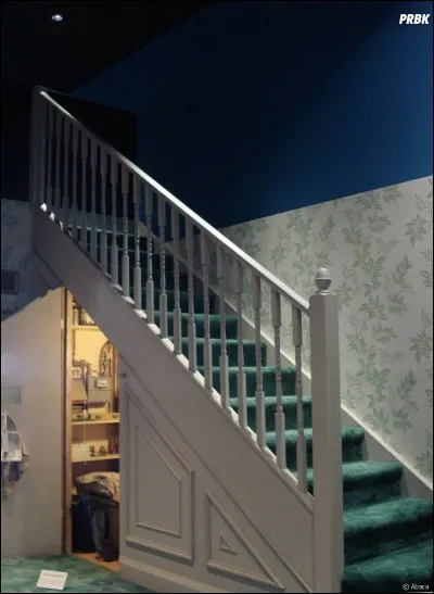 Qu'est-ce que Harry a fait au zoo, qui l'a privé de nourriture pendant une semaine ?