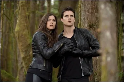 Dans quelle série peut-on voir ce couple ?