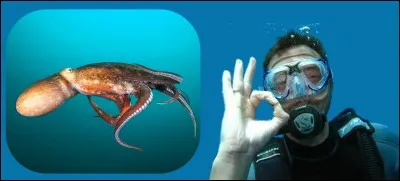 Voici, la pieuvre, elle peut changer d'apparence à volonté et elle possède 3 curs.