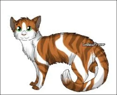 Comment est morte Ciel Clair ?