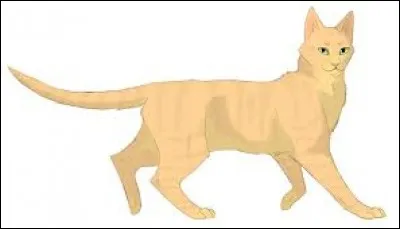 Qui étaient les parents de Tempête de Sable ?