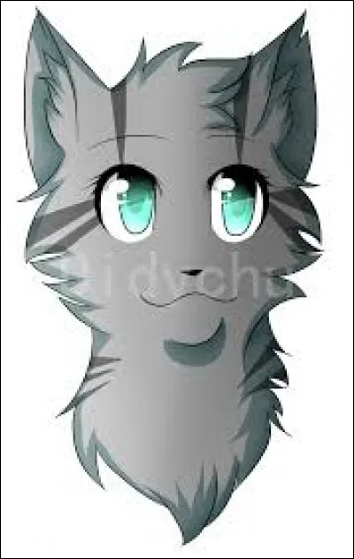 Avec qui Aile de Colombe est-il allé dans un nid de bipèdes abandonné ?