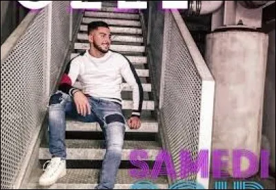 Qui a chanté "Samedi soir" ?