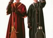 Quiz Le Quidditch en quelques questions