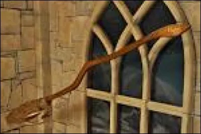 A quoi correspond cette image ?