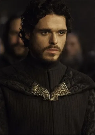 Comment était surnommé Robb Stark ?
