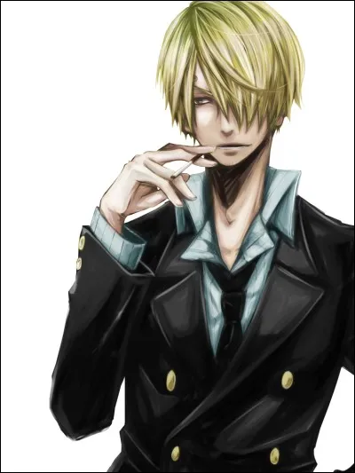Dans "One Piece" Sanji se bat seulement avec ses mains.
