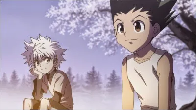 Dans "Hunter X Hunter" Gon se bat avec une canne à pêche.